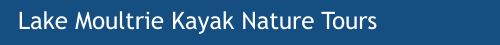 Lake Moultrie Kayak Nature Tours